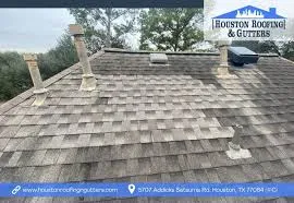 Comprehensive Insights on Fences in Houston, TX