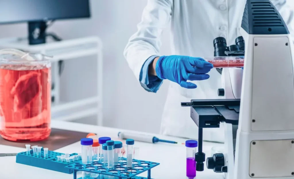 What Are the Essential Physics Lab Instruments for a Scientific Laboratory?