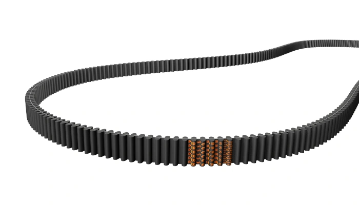 Double v Belts-PIX Spain