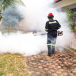 Fumigation services