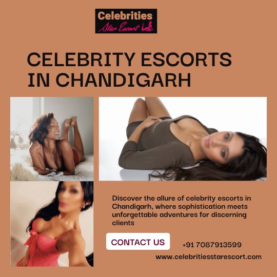 Celebrity Escorts in Chandigarh