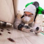 Pests are a common problem for homeowners across Ontario