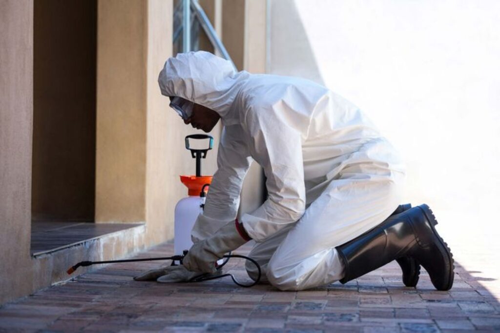 Pest Control Kanata Ontario