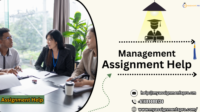 Management Assignment Help