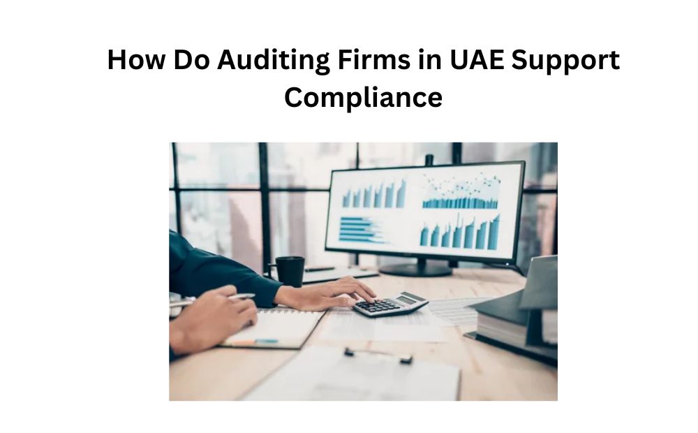 How Do Auditing Firms in UAE Support Compliance