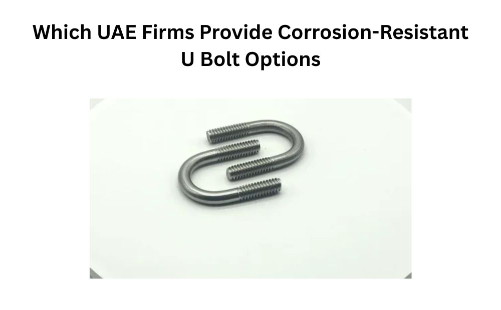 Which UAE Firms Provide Corrosion-Resistant U Bolt Options
