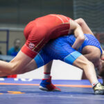 Wrestling Mat