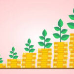 How to Optimize Your Mutual Fund Portfolio Using SIP Return Calculators