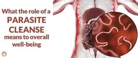 Can Parasites Make You Gain Weight Instead of Lose It?