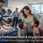 wash & fold san jose