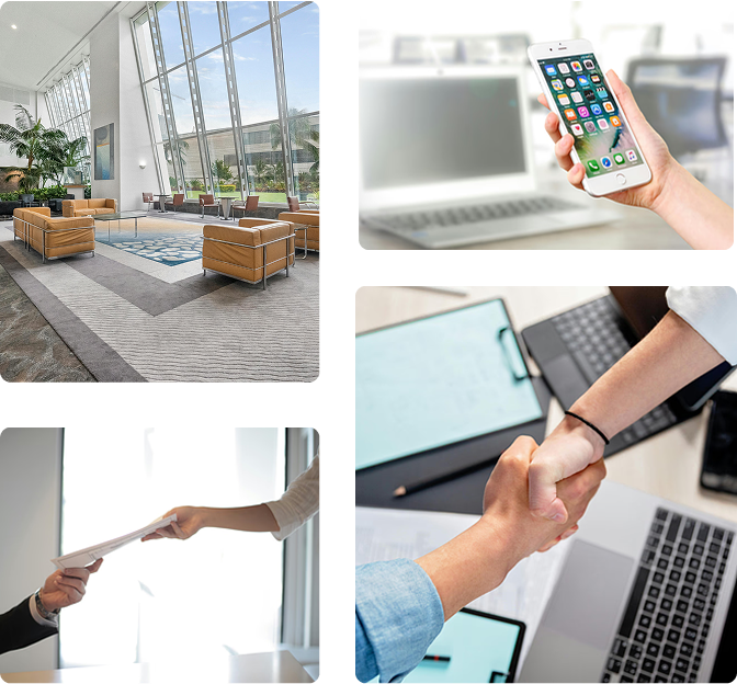 professional cleaning company Victoria