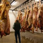 Processed by: Helicon Filter;