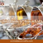 Orchid Dinex Moradabad premium decorative catering display items
