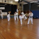 Taekwondo Fairfield
