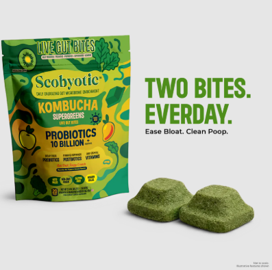 Freeze Dried Kombucha Bites – Crunchy, Healthy Probiotic Snacks