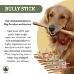 Natural Bully Sticks – Safe & Digestible Dog Chews for All Breeds