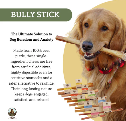 Natural Bully Sticks – Safe & Digestible Dog Chews for All Breeds