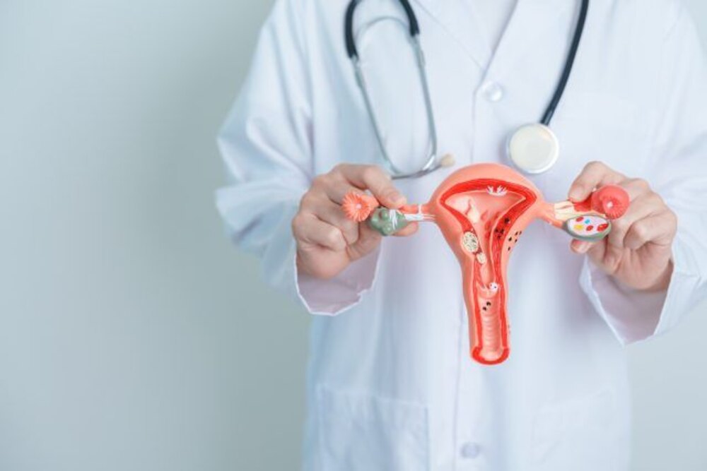 Uterine Fibroid Embolization Cost in India