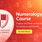 numerology courses