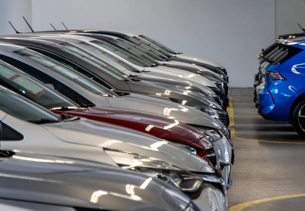 Chauffeur Service Parkland, FL