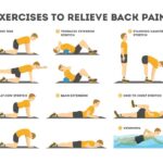 lower back physical