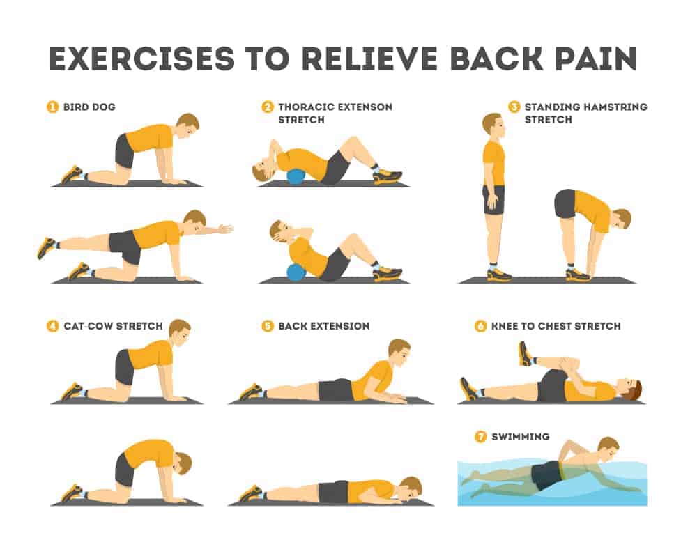 lower back physical