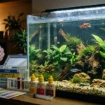 Aquarium water test kit
