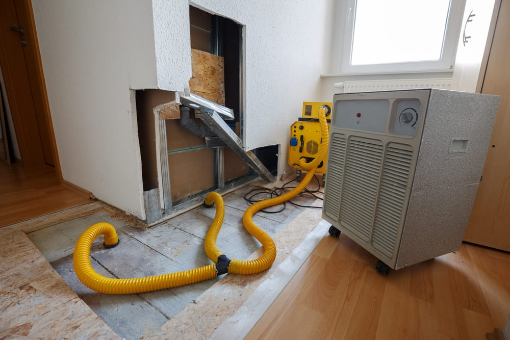 Why You Should Call a Water Damage Restoration Service Immediately After a Leak
